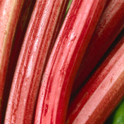 Rhubarb Accord