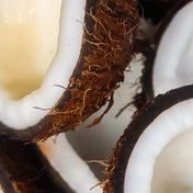 Coconut Accord